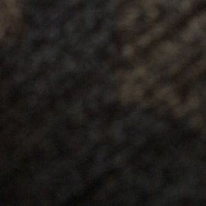 Meet your Posher, Jace